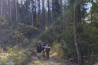 IMG 20251003 114935 1