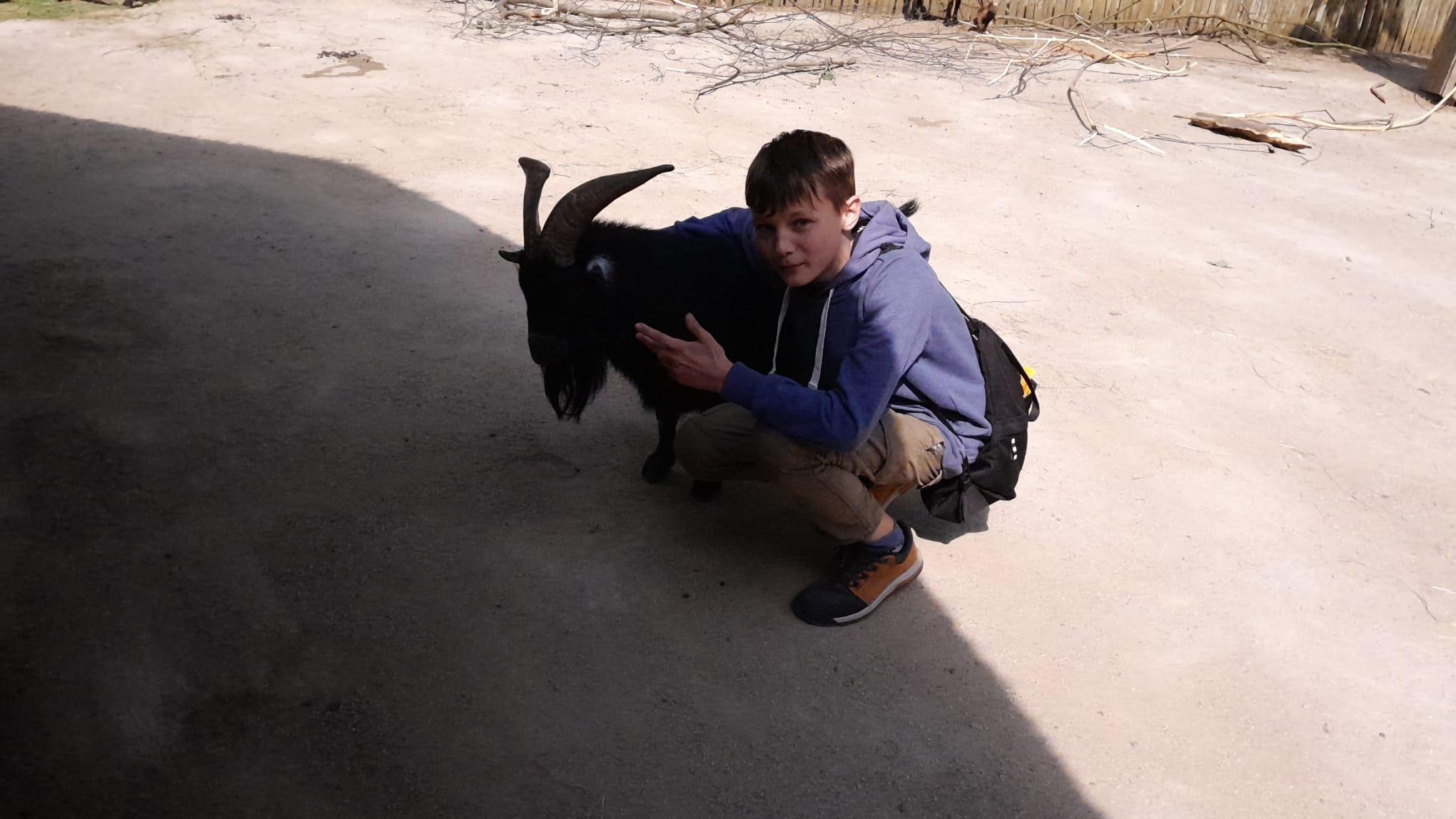 ZOO 4