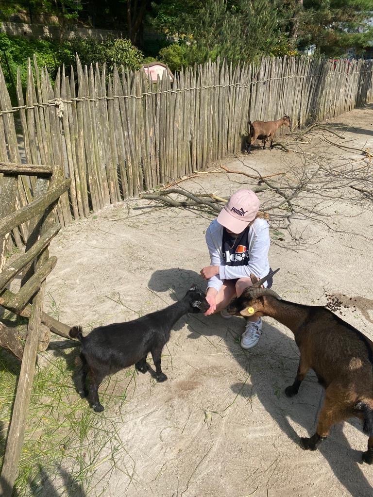 ZOO 6