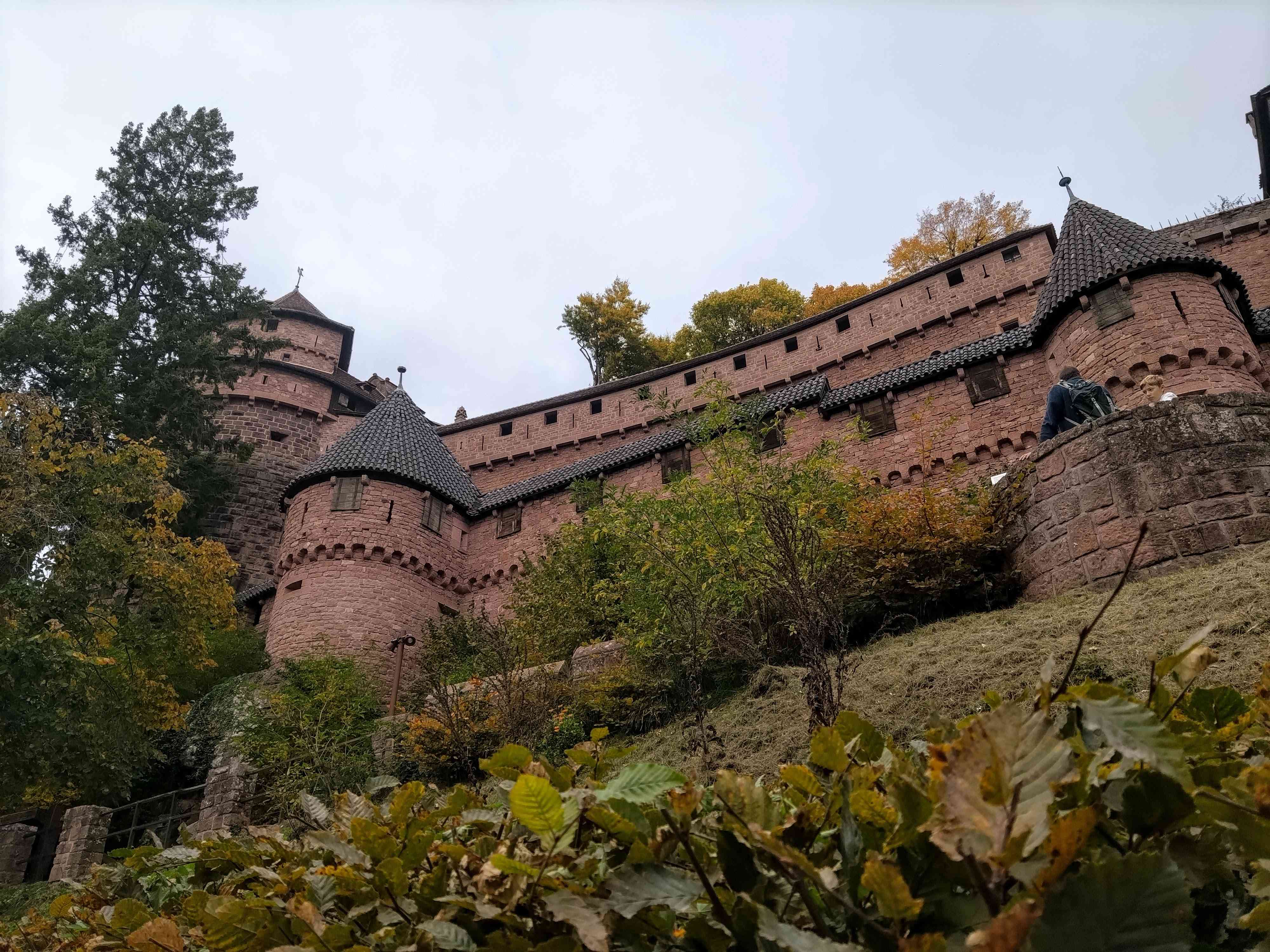 IMG 20221011 152354