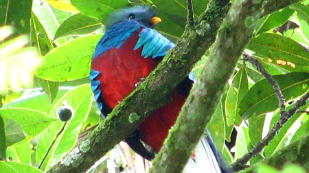 guatemala_23