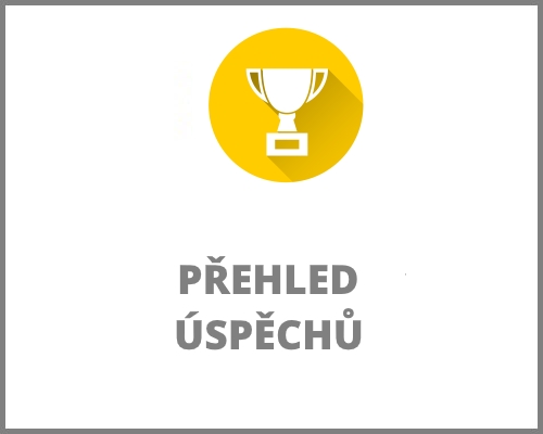 přehled úspěchů