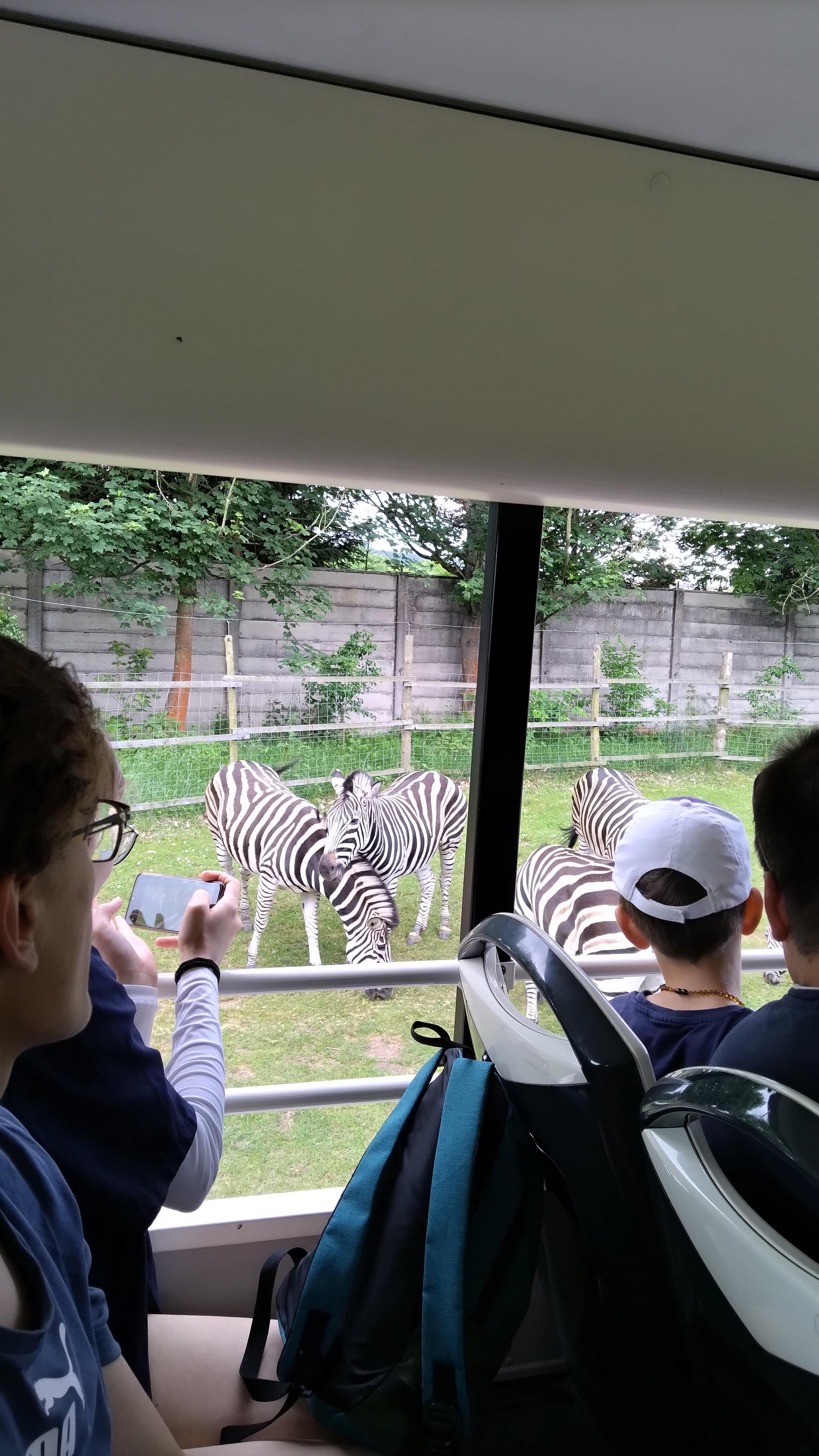 zoo 2022